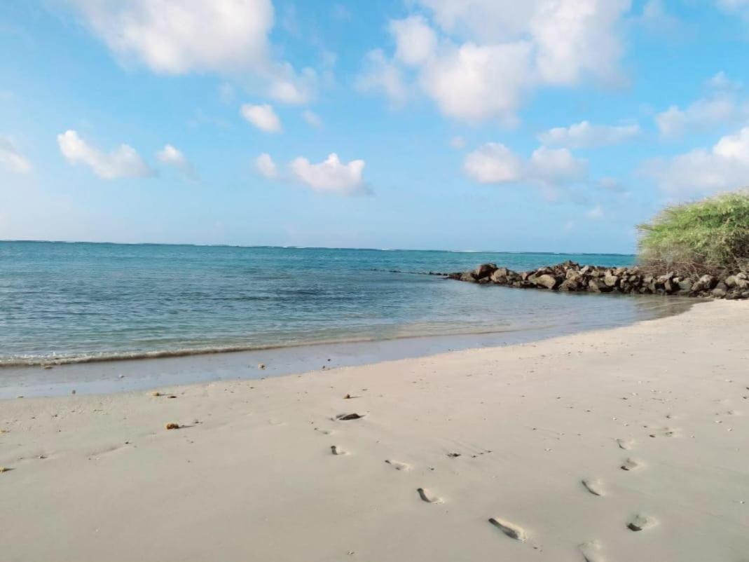 فيلازفيتايفر Bambou المظهر الخارجي الصورة